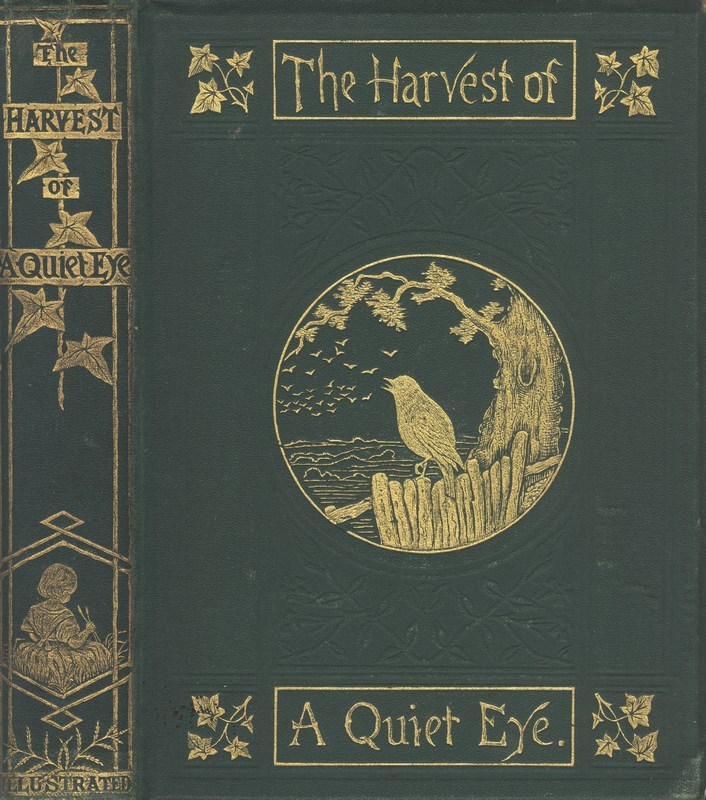 جلد کتاب The Harvest of a Quiet Eye