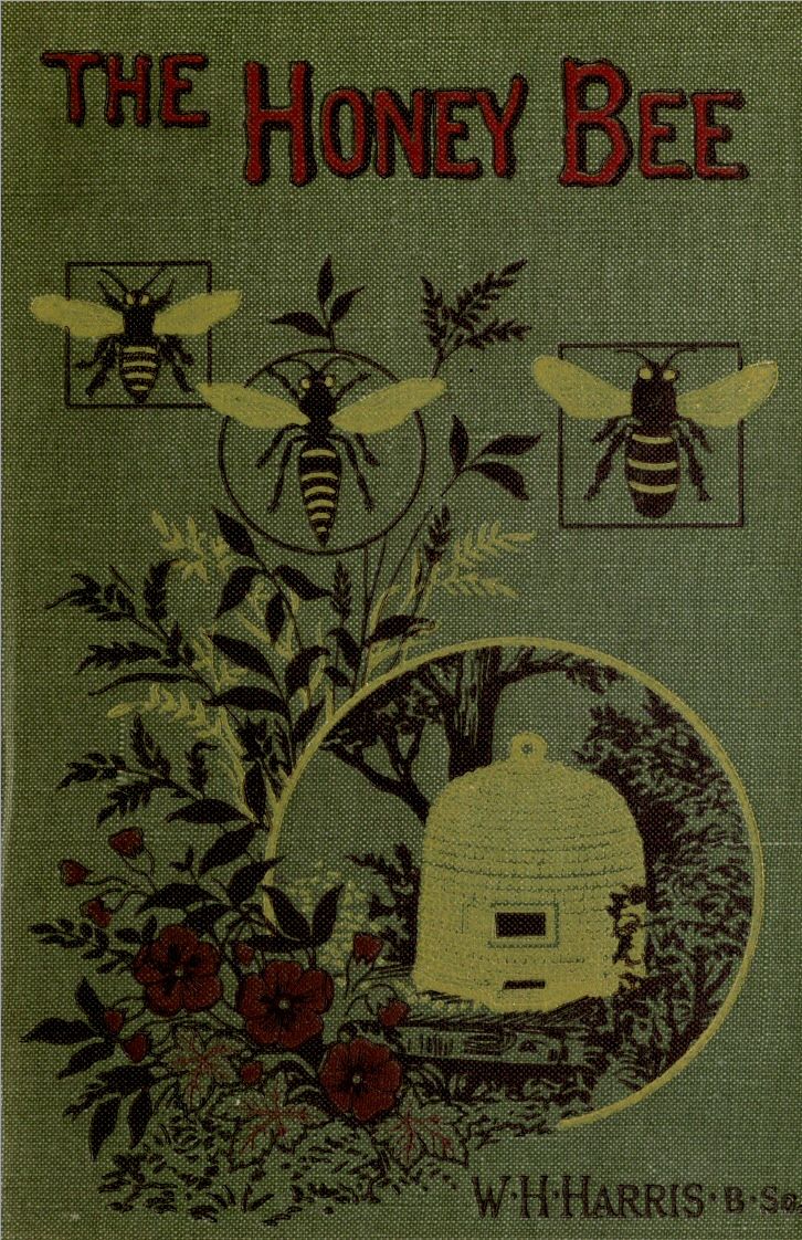 جلد کتاب The Honey-Bee: Its Nature, Homes and Products