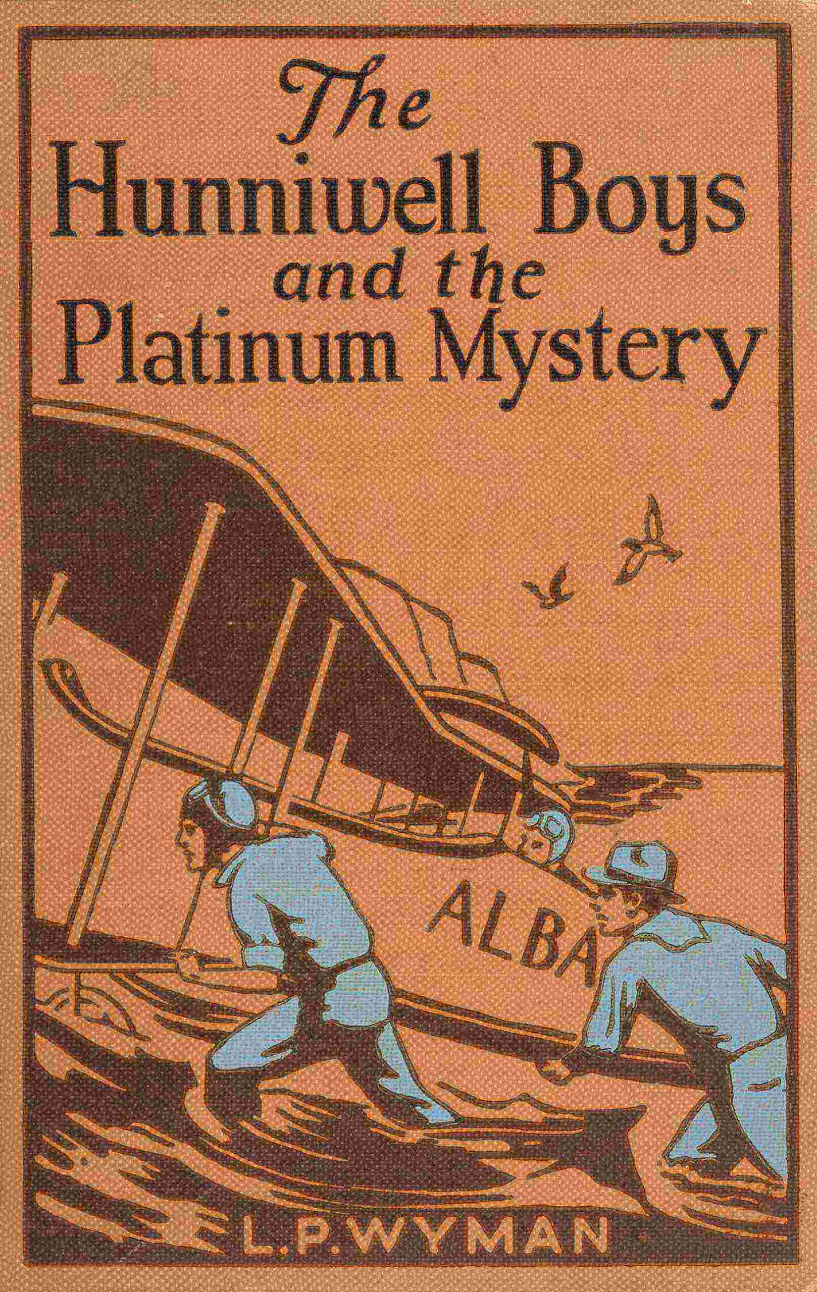 جلد کتاب The Hunniwell Boys and the Platinum Mystery