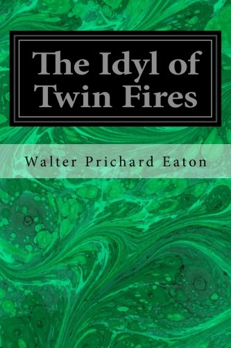 جلد کتاب The Idyl of Twin Fires