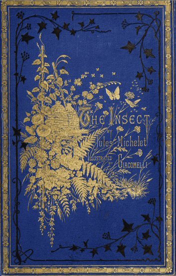 جلد کتاب The Insect