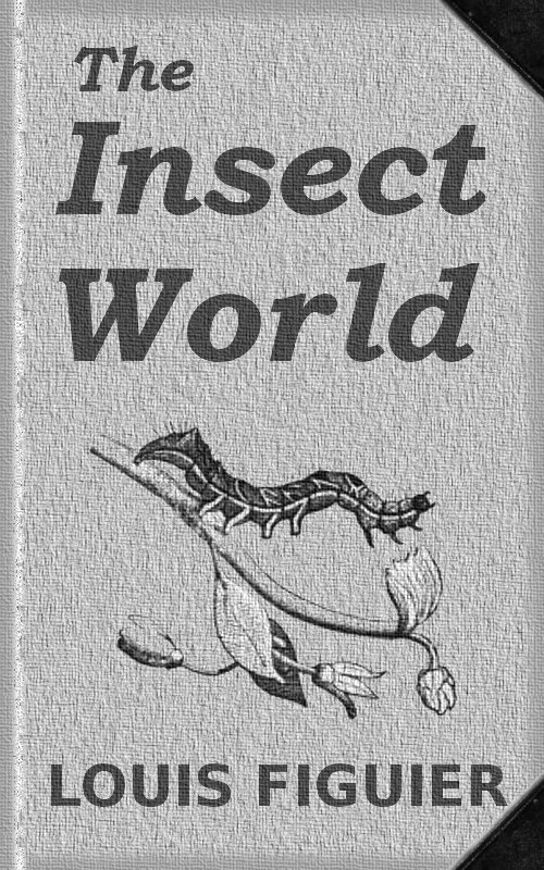 جلد کتاب The Insect World