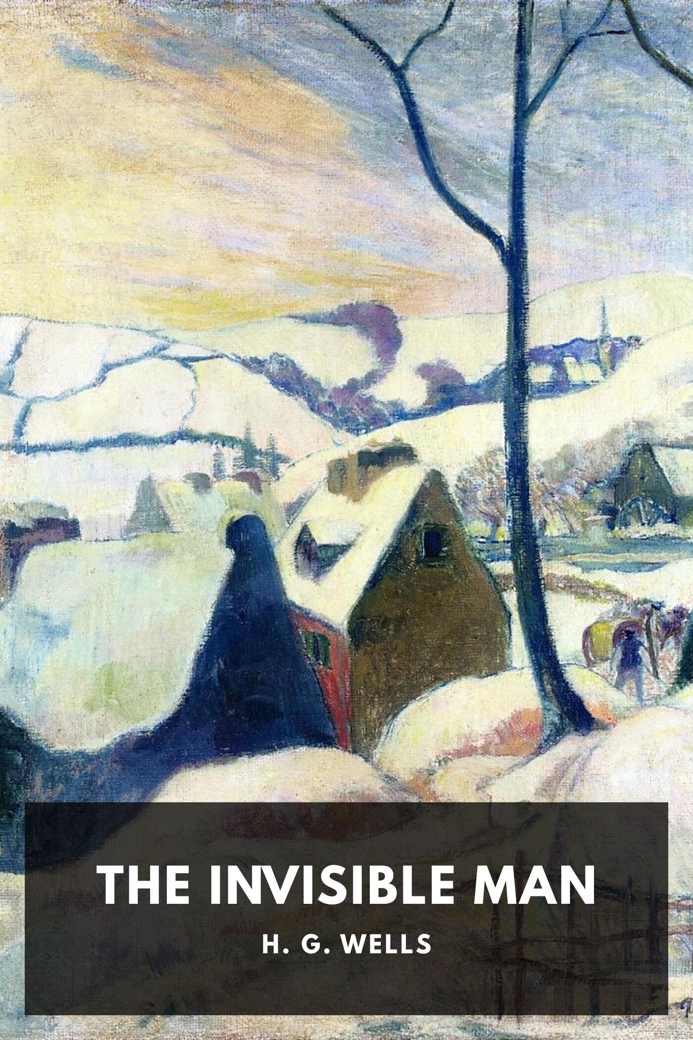 جلد کتاب The Invisible Man: A Grotesque Romance