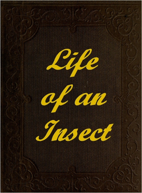 جلد کتاب The Life of an Insect