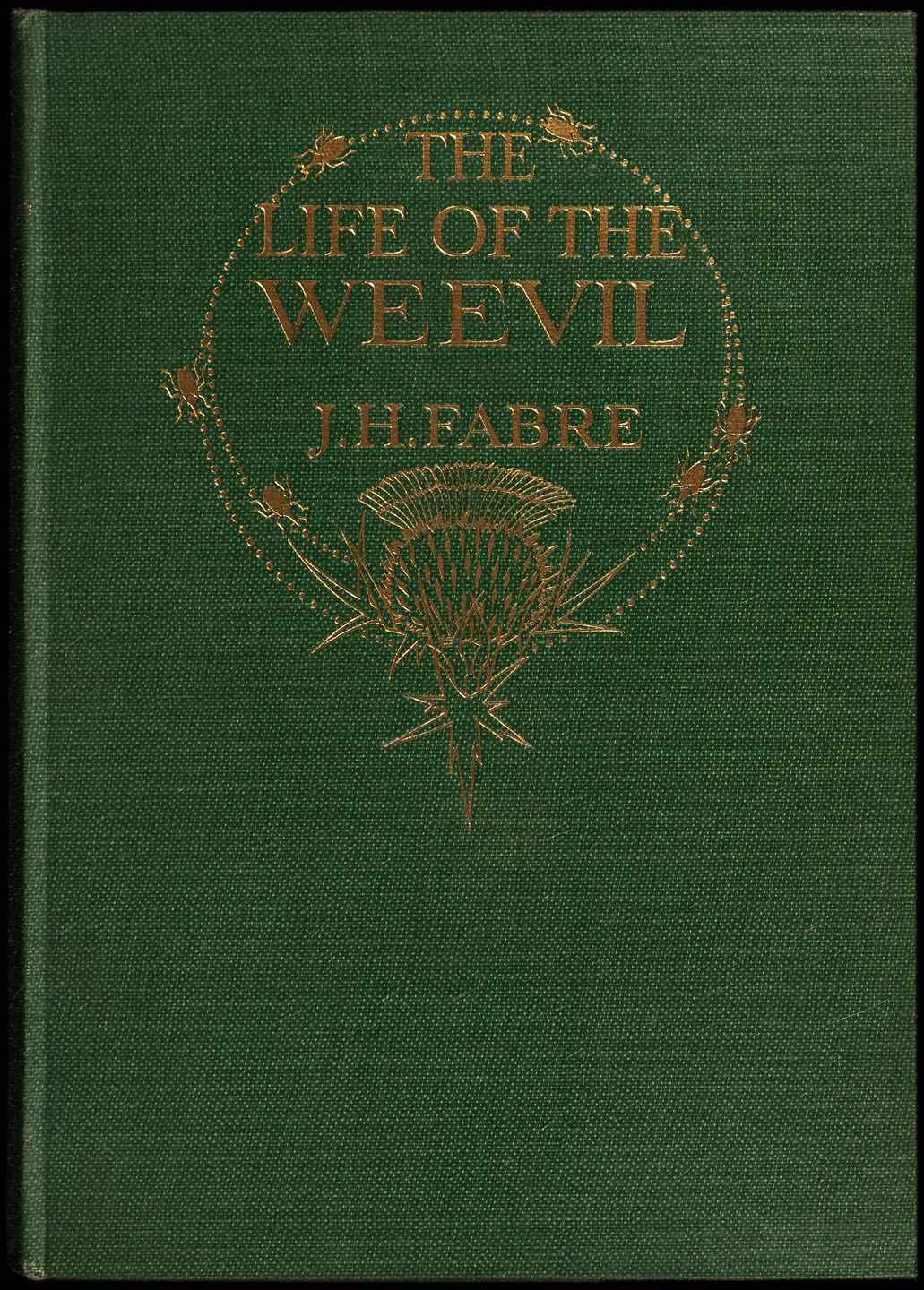جلد کتاب The Life of the Weevil