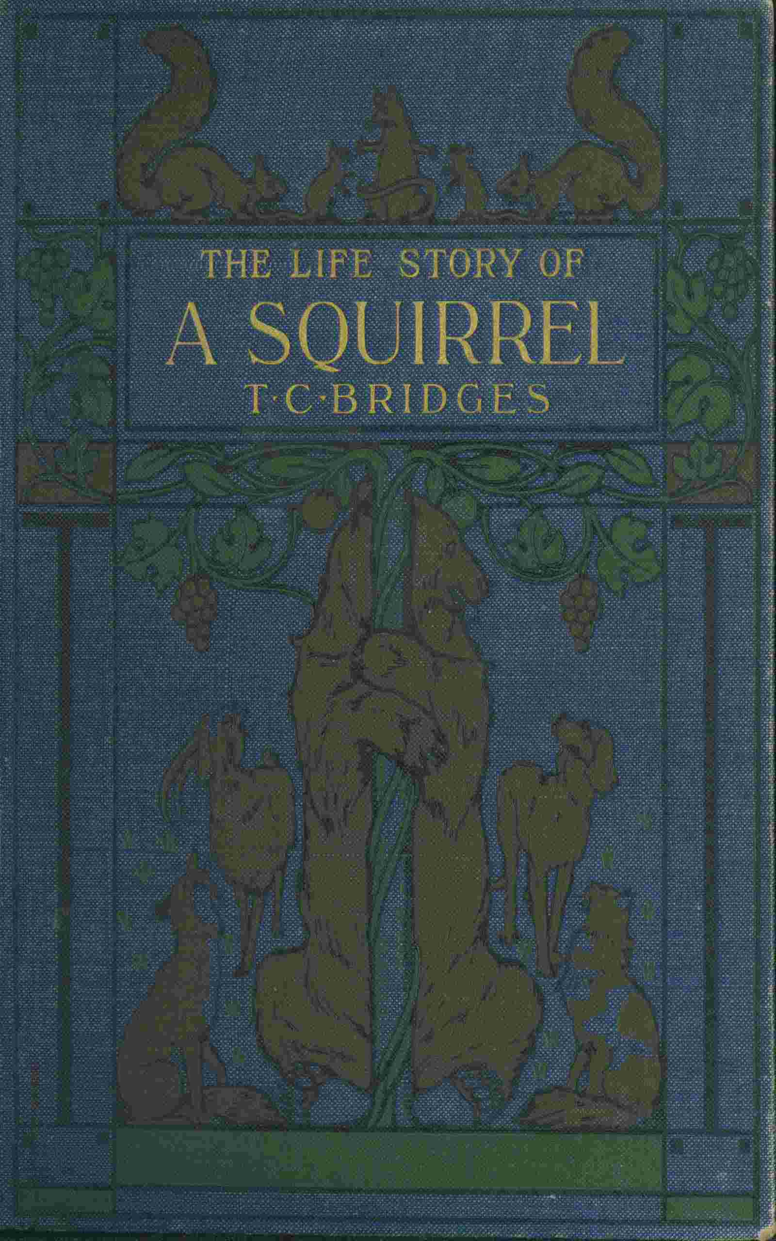 جلد کتاب The Life Story of a Squirrel