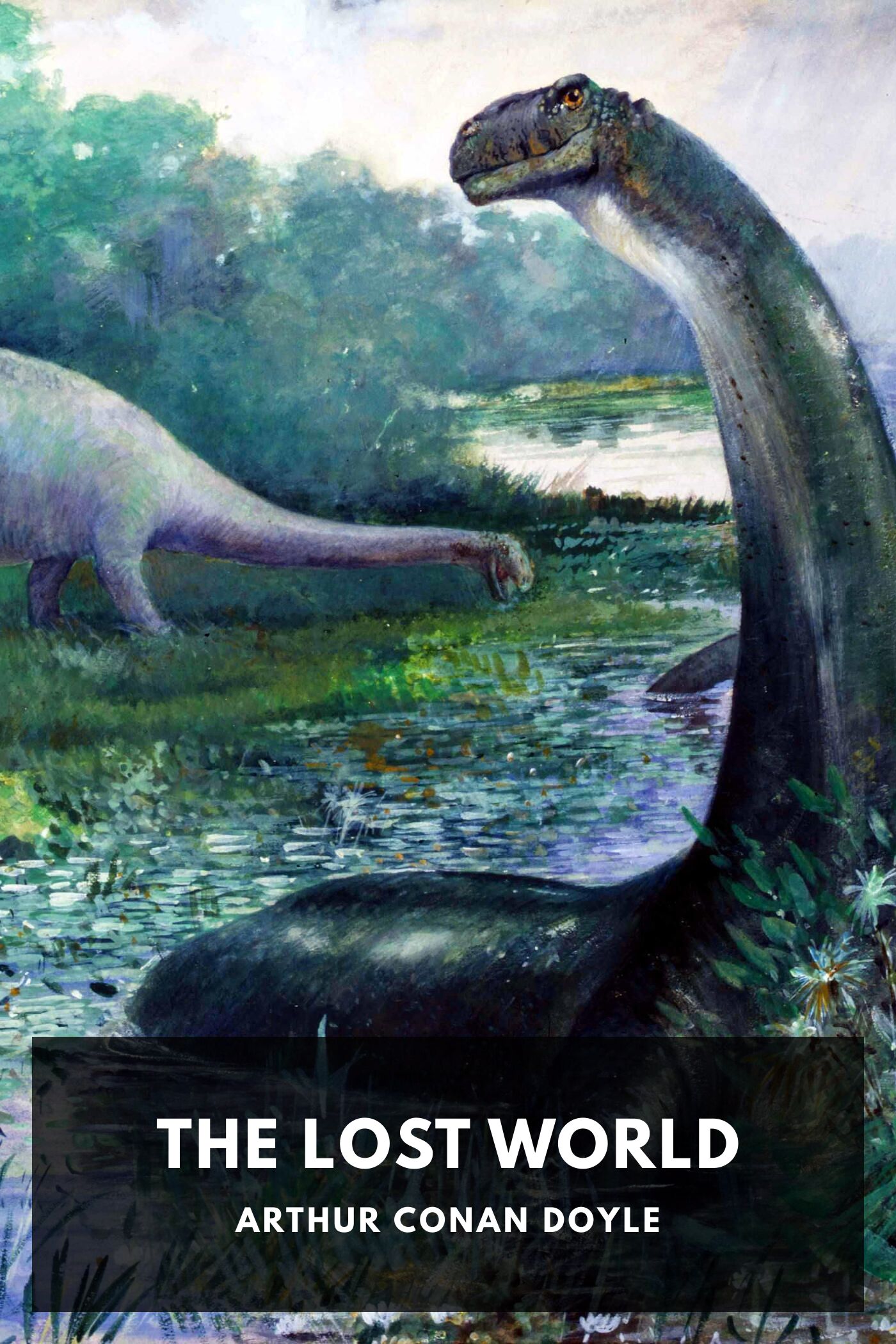جلد کتاب The Lost World