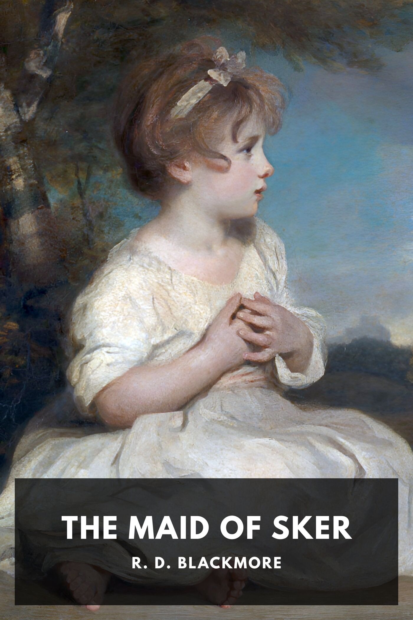 جلد کتاب The Maid of Sker