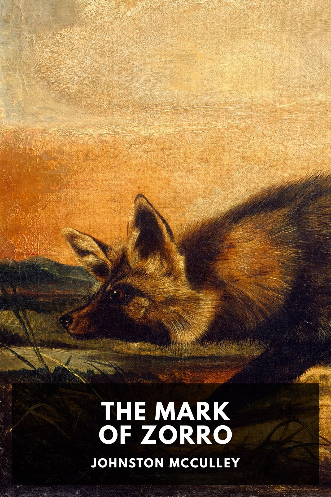 جلد کتاب The Mark of Zorro