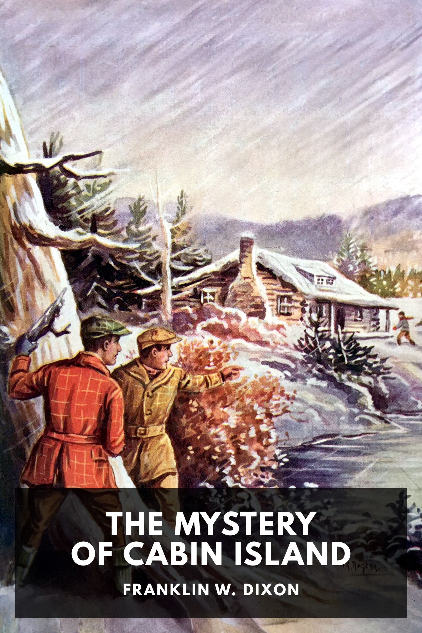 جلد کتاب The mystery of Cabin Island