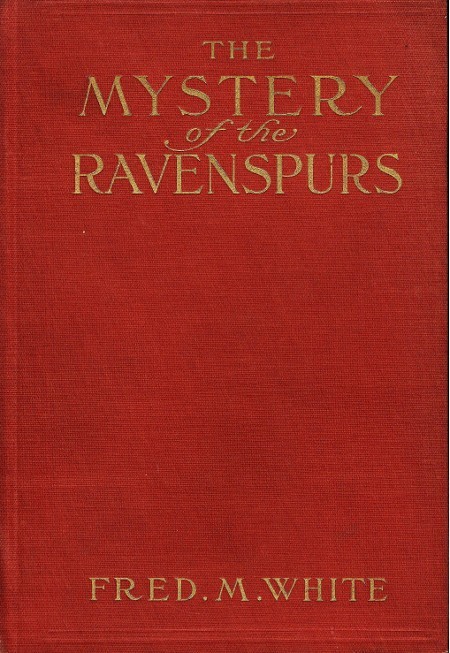 جلد کتاب The Mystery of the Ravenspurs