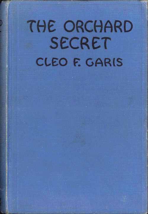 جلد کتاب The Orchard Secret