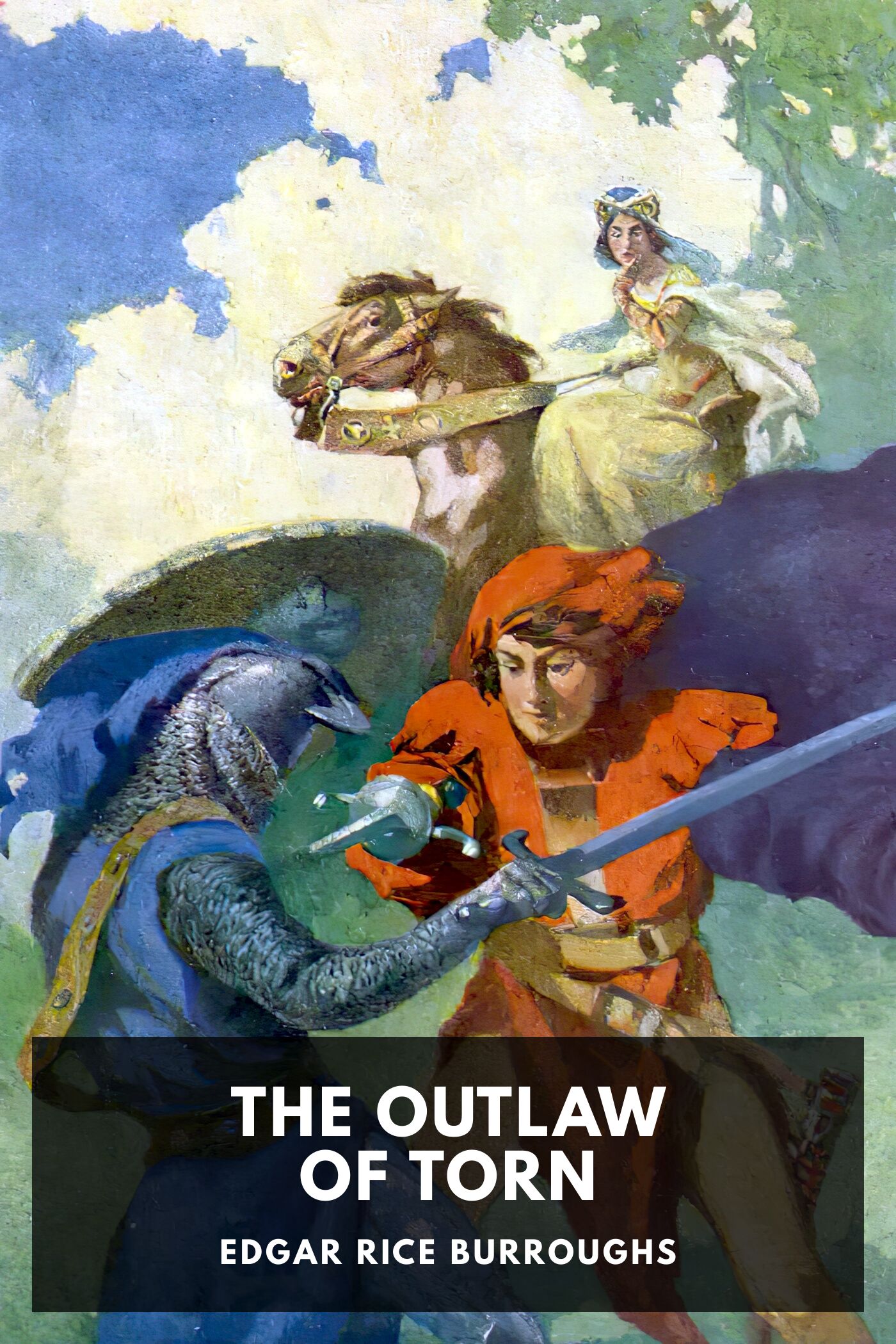 جلد کتاب The Outlaw of Torn
