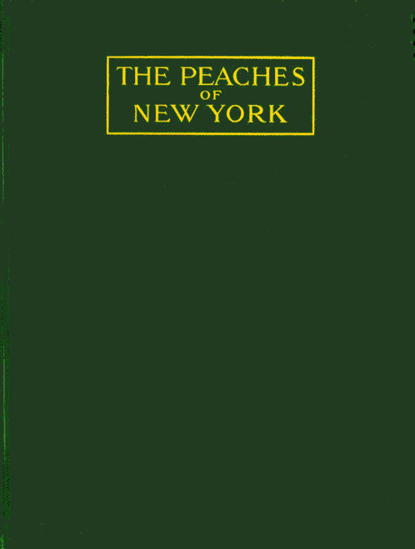 جلد کتاب The Peaches of New York