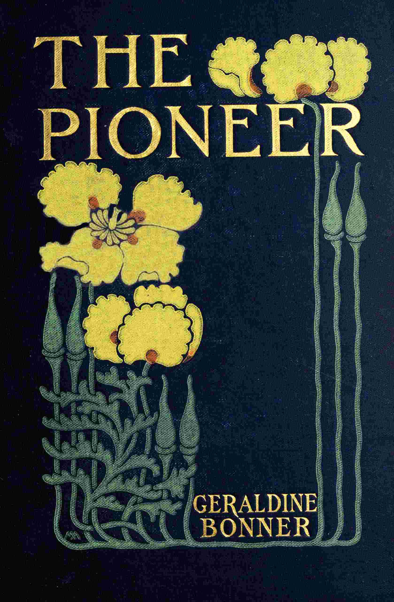جلد کتاب The Pioneer: A Tale of Two States