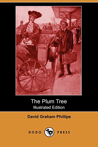 جلد کتاب The Plum Tree