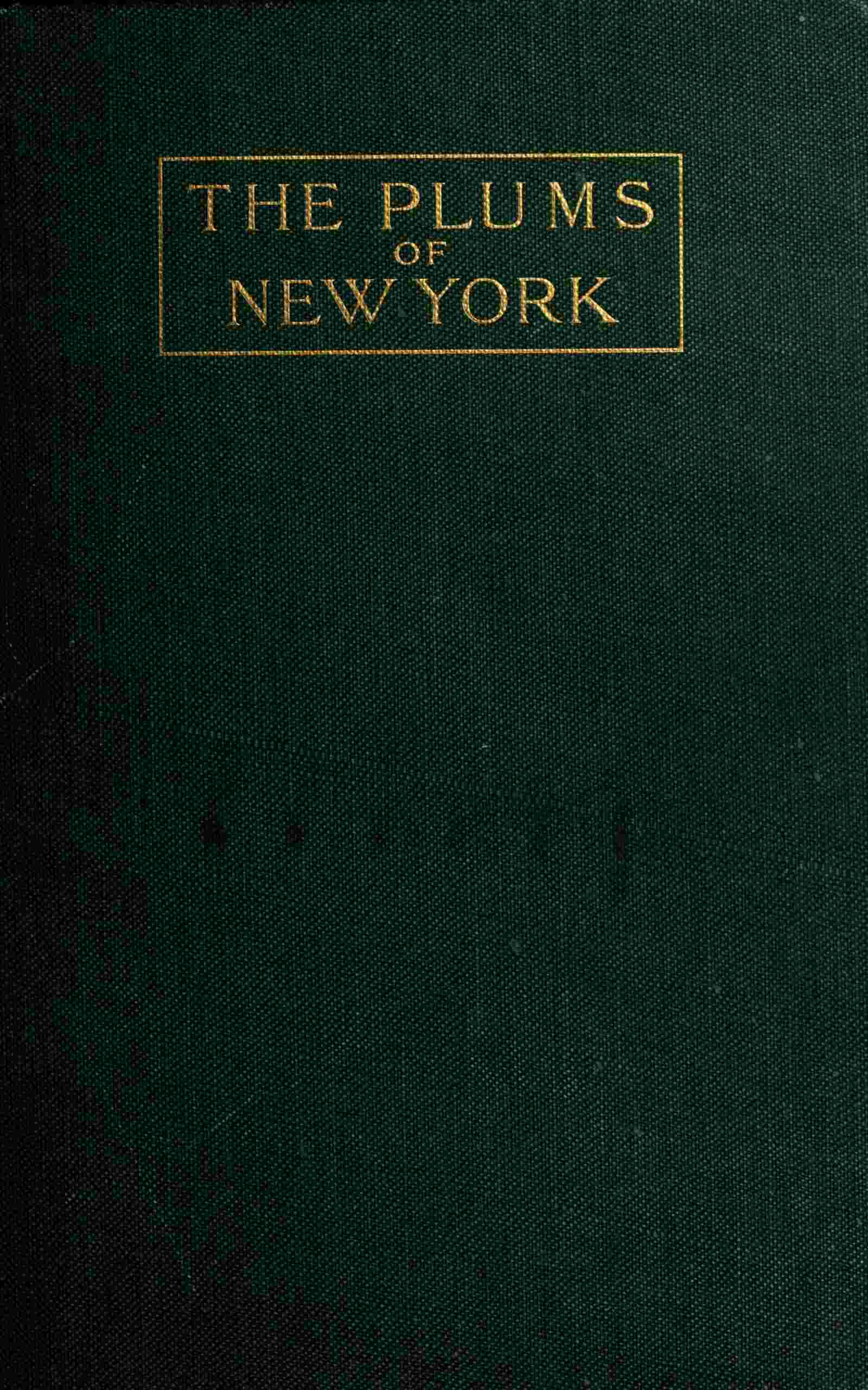 جلد کتاب The Plums of New York