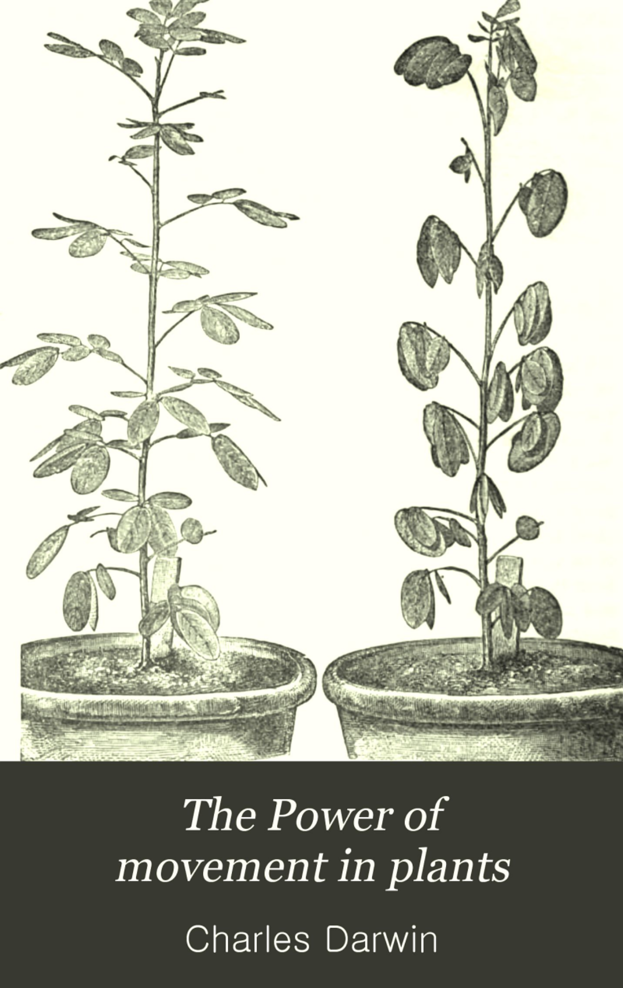 جلد کتاب The Power of Movement in Plants