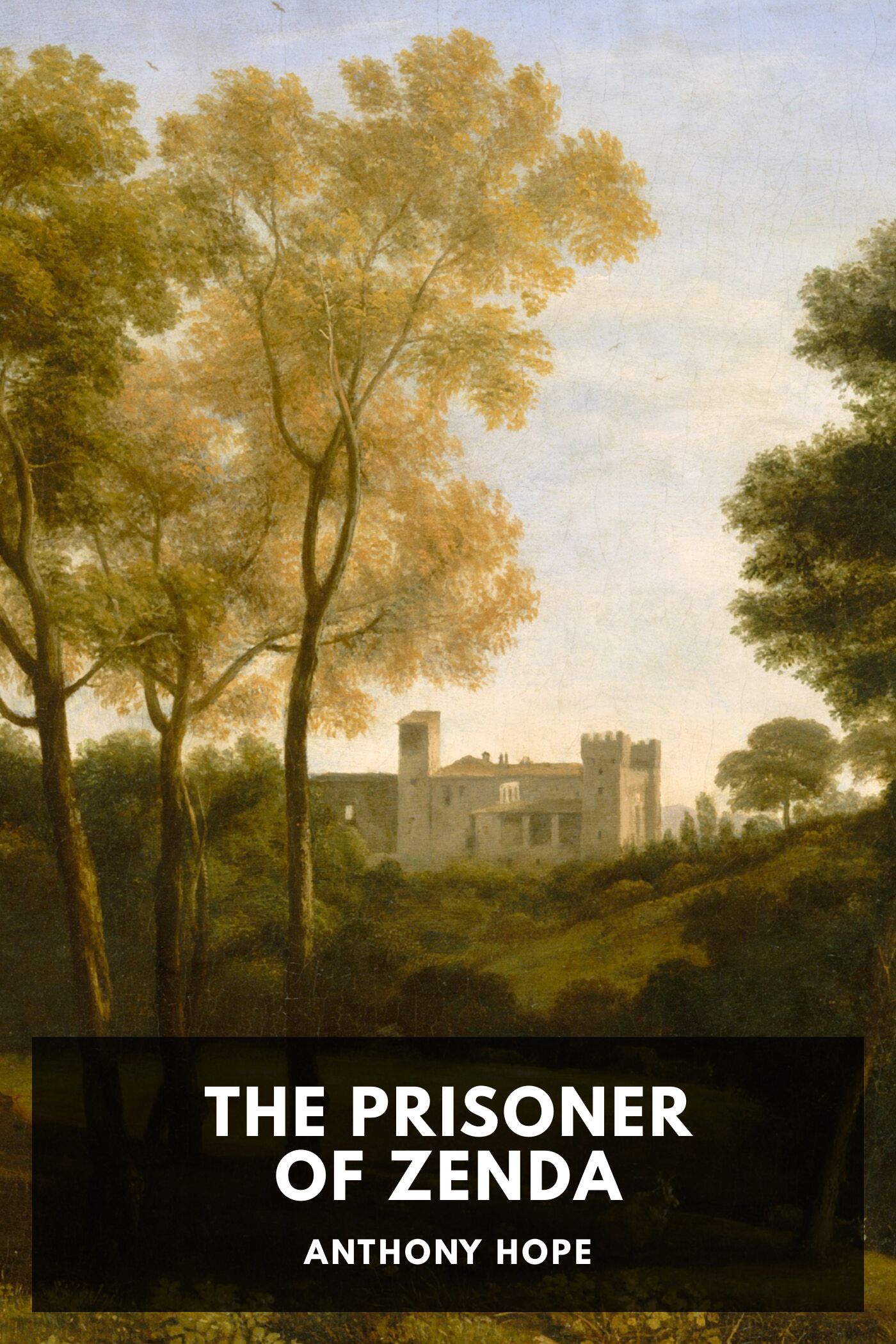 جلد کتاب The Prisoner of Zenda