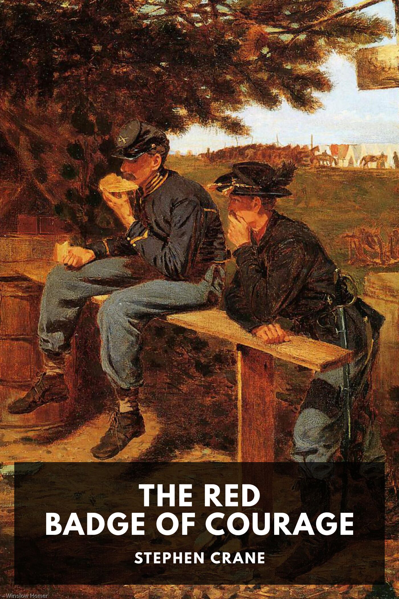 جلد کتاب The Red Badge of Courage