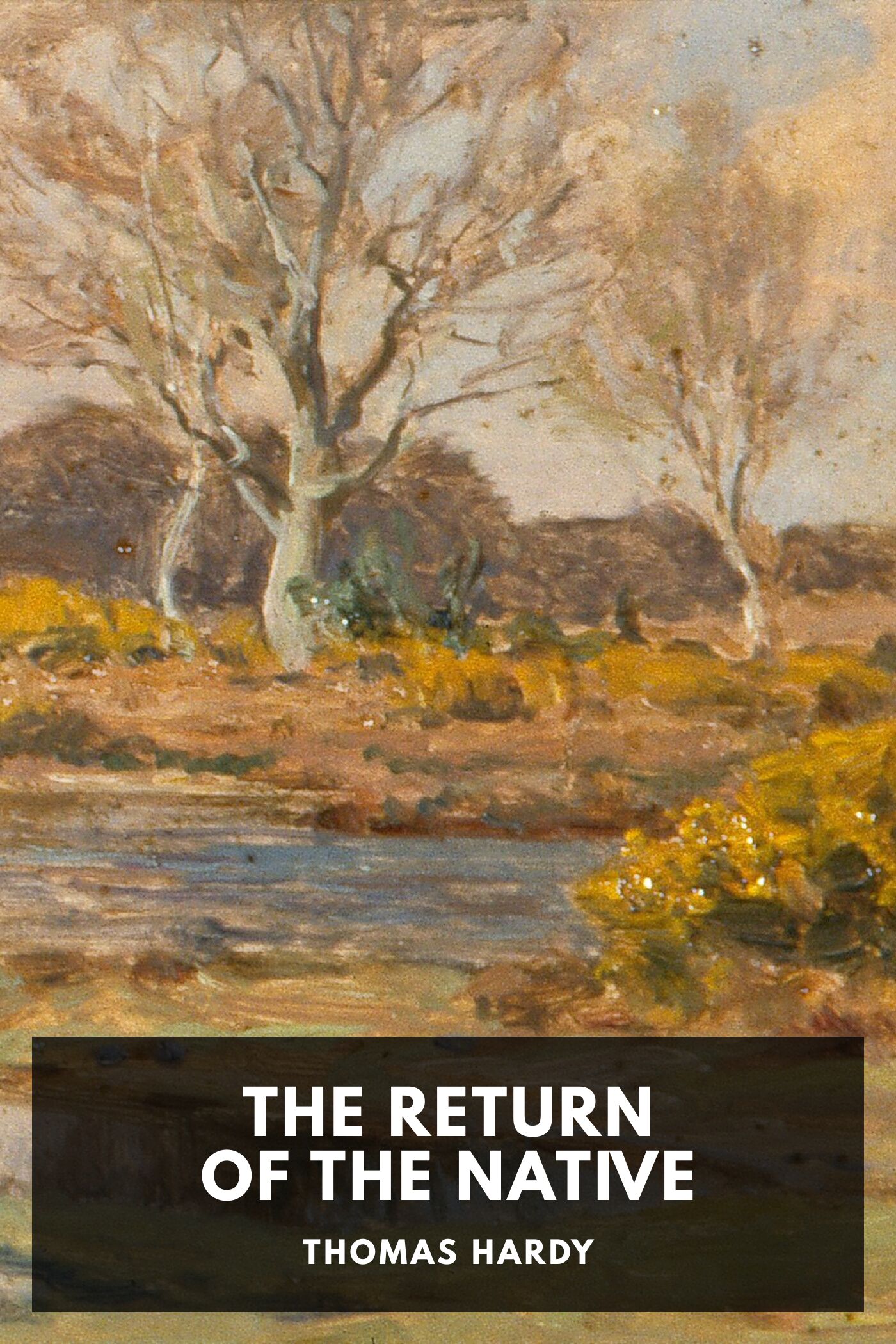 جلد کتاب The Return of the Native