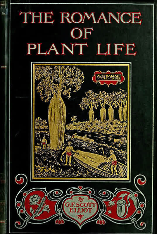 جلد کتاب The Romance of Plant Life