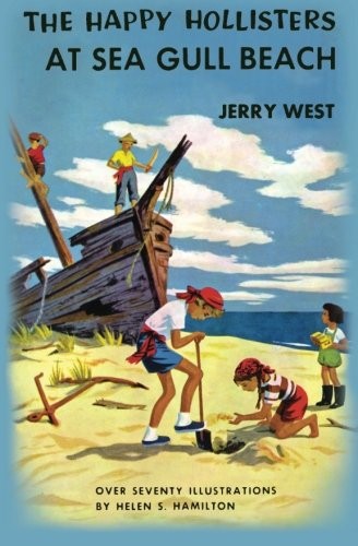 جلد کتاب The Sea-Gull
