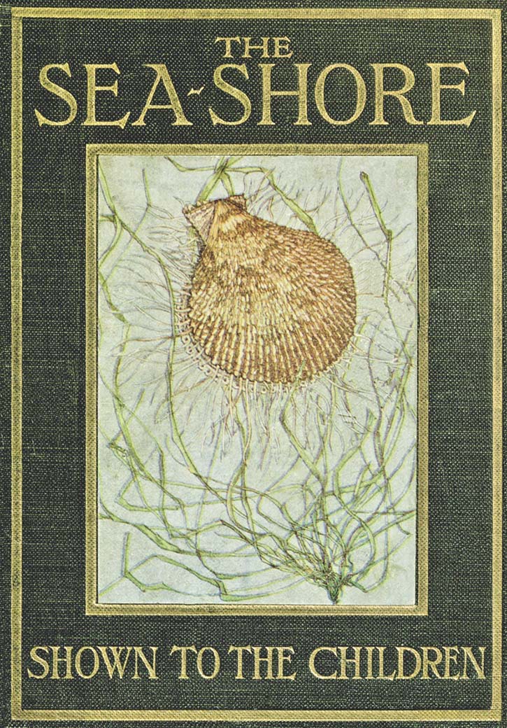جلد کتاب The Sea-Shore, Shown to the Children