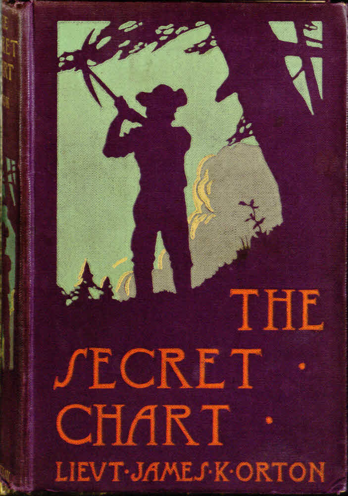 جلد کتاب The Secret Chart