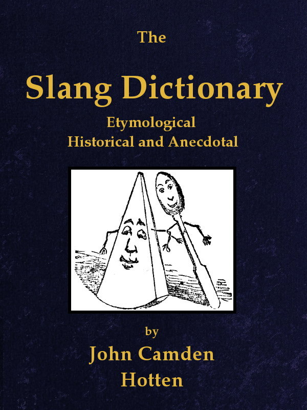 جلد کتاب The Slang Dictionary: Etymological, Historical and Anecdotal