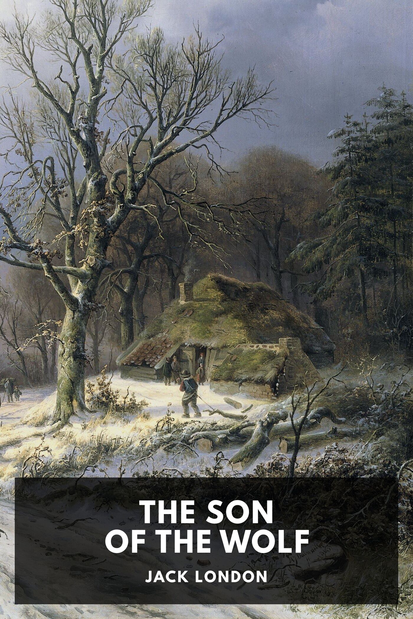 جلد کتاب The Son of the Wolf