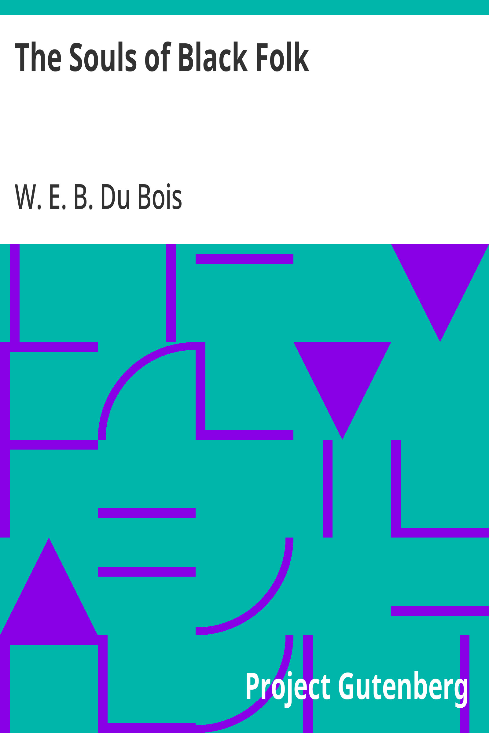 جلد کتاب The Souls of Black Folk