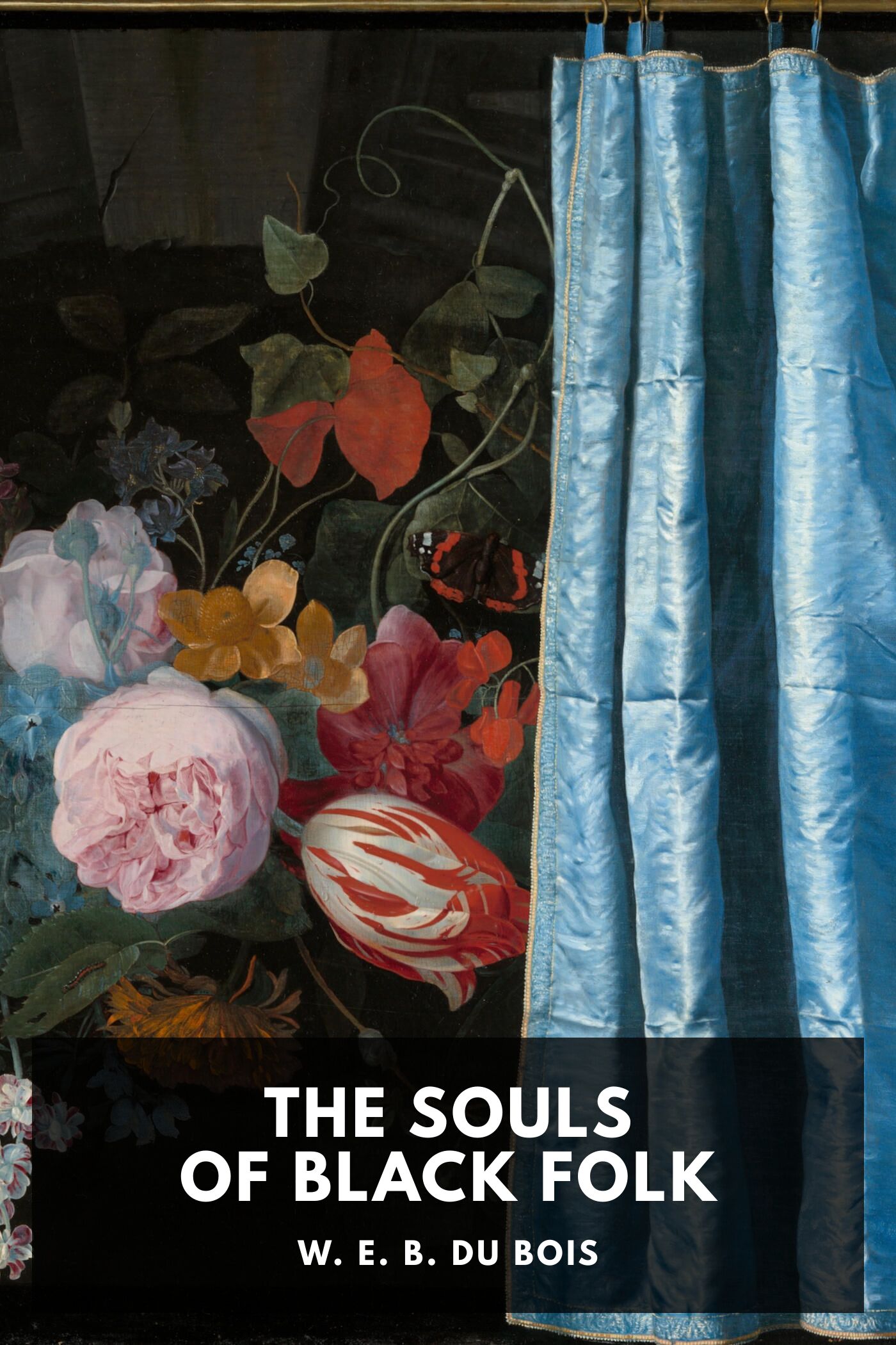 جلد کتاب The Souls of Black Folk