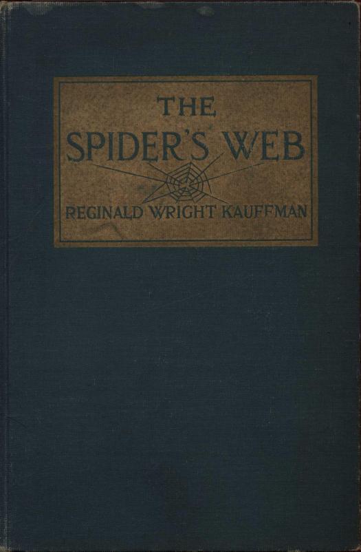 جلد کتاب The Spider's Web