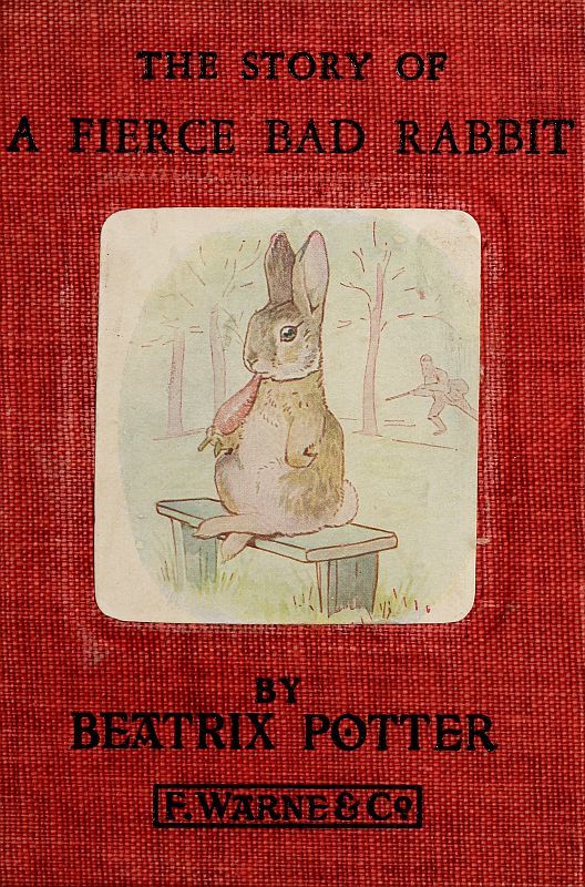 جلد کتاب The Story of a Fierce Bad Rabbit