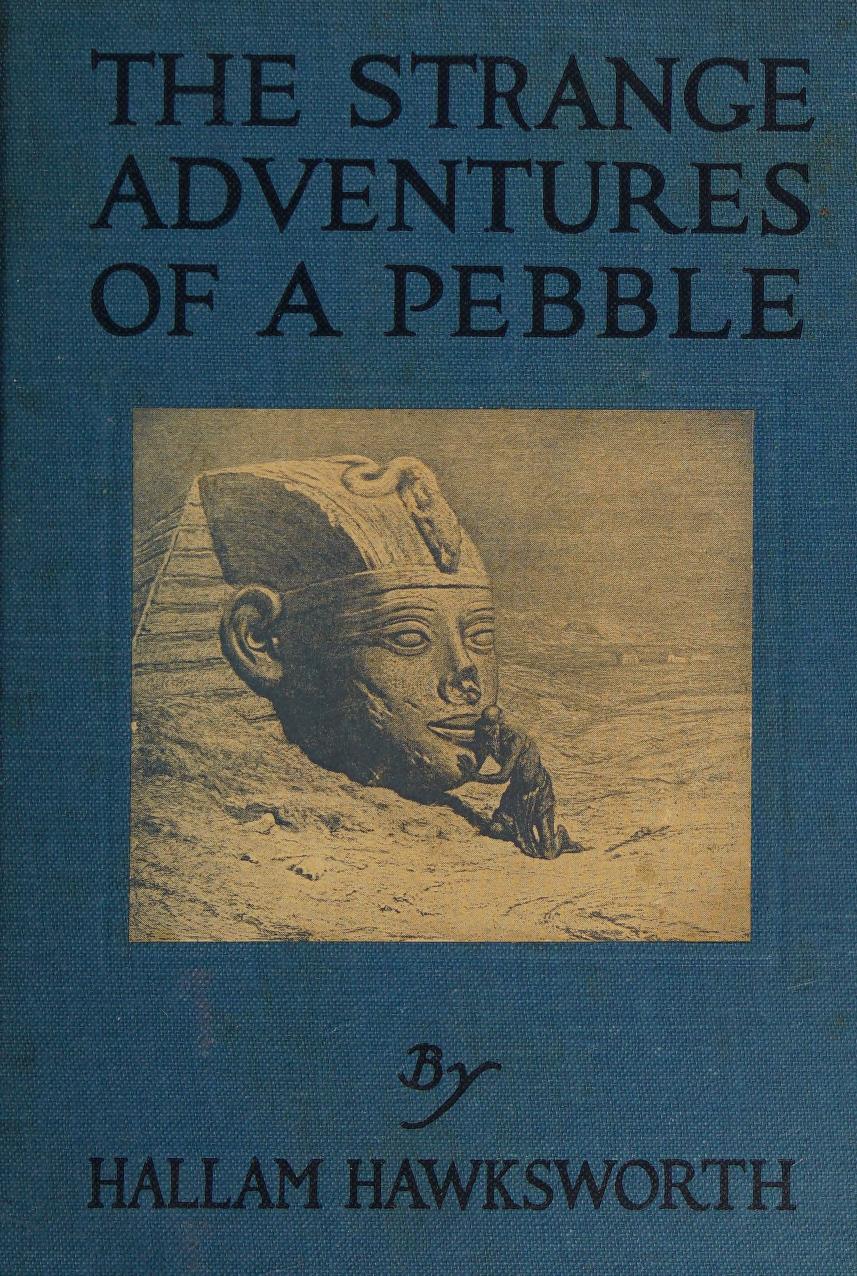 جلد کتاب The Strange Adventures of a Pebble