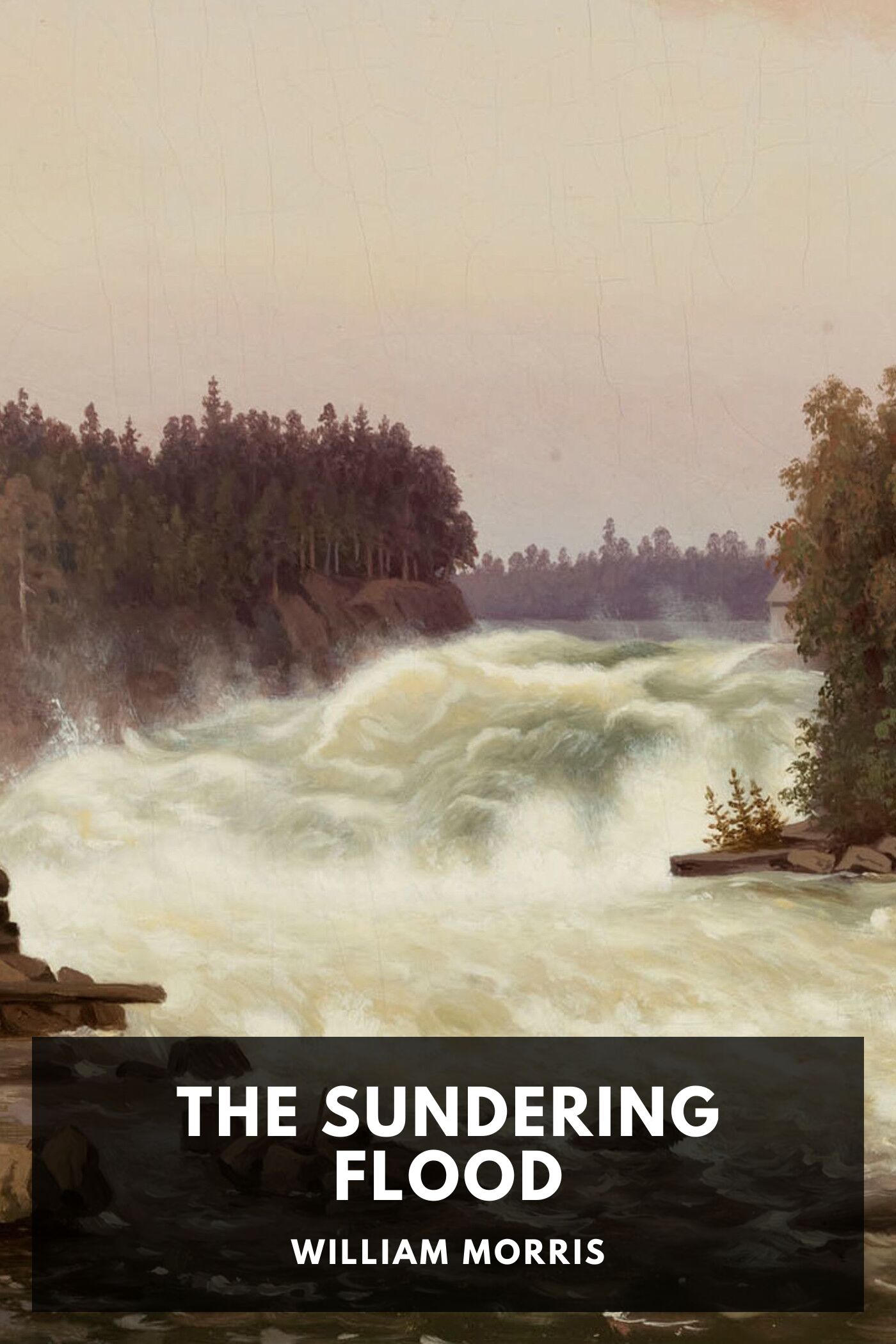 جلد کتاب The Sundering Flood
