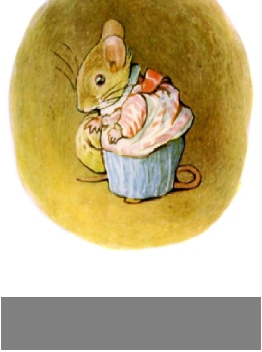 جلد کتاب The Tale of Mrs. Tittlemouse