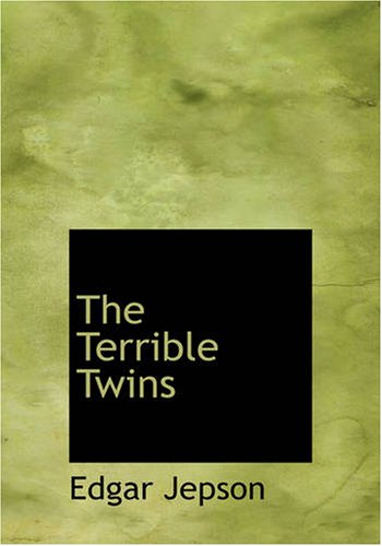 جلد کتاب The Terrible Twins