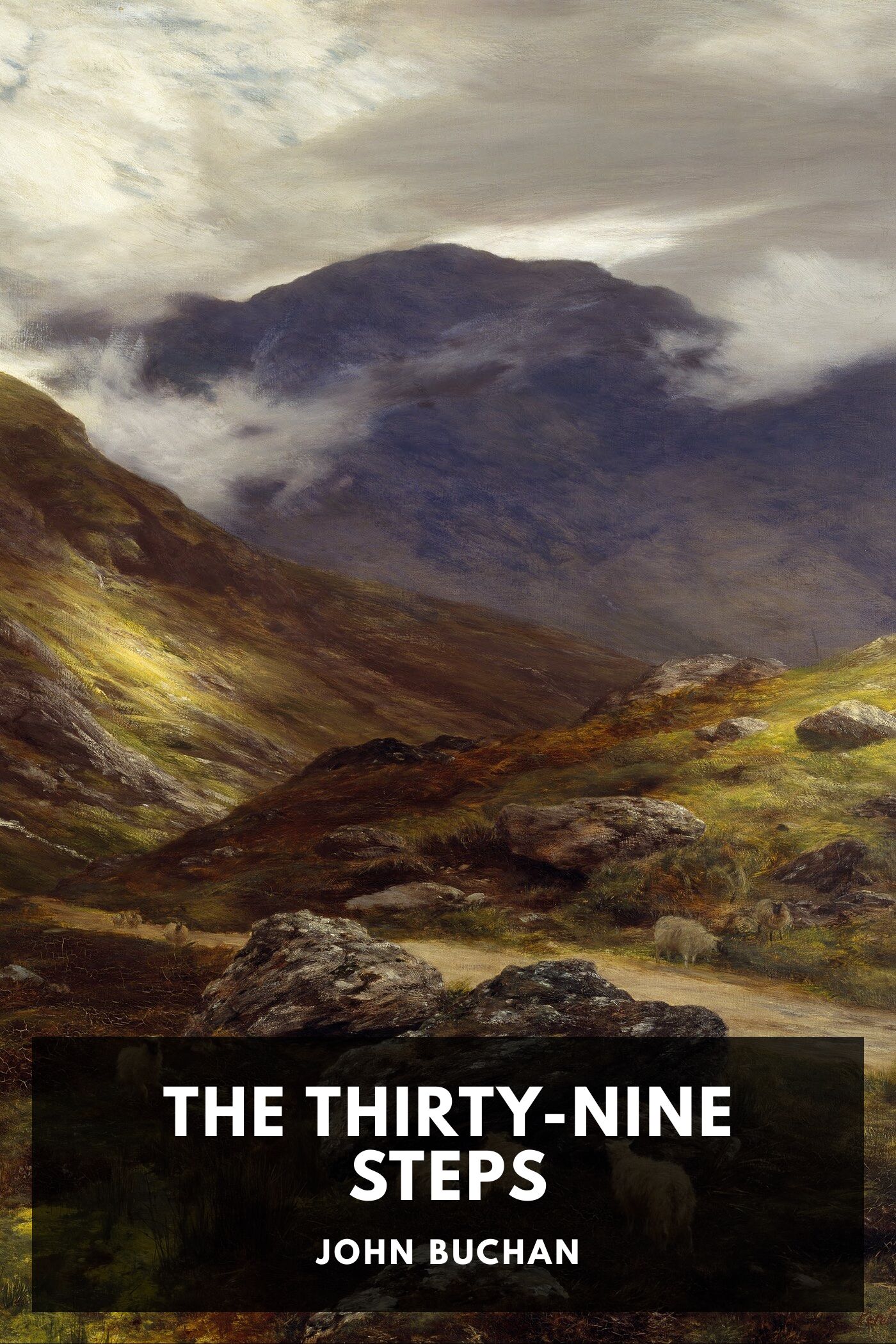 جلد کتاب The Thirty-Nine Steps