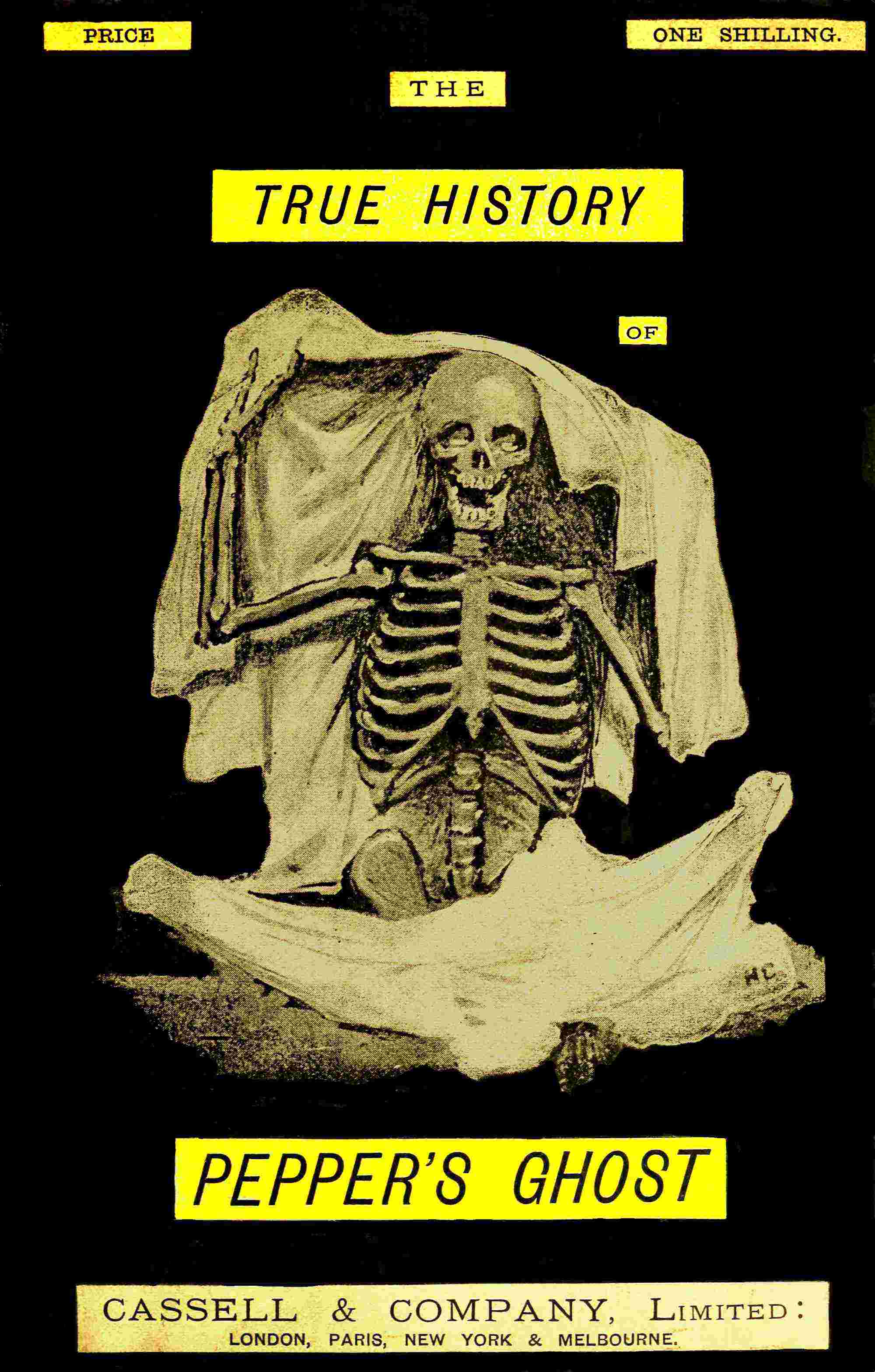 جلد کتاب The true history of the ghost