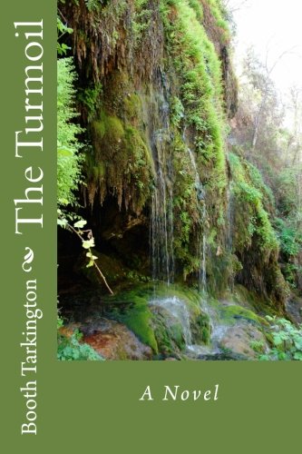 جلد کتاب The Turmoil