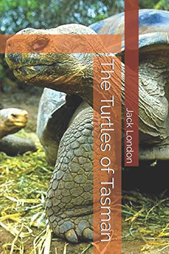 جلد کتاب The Turtles of Tasman