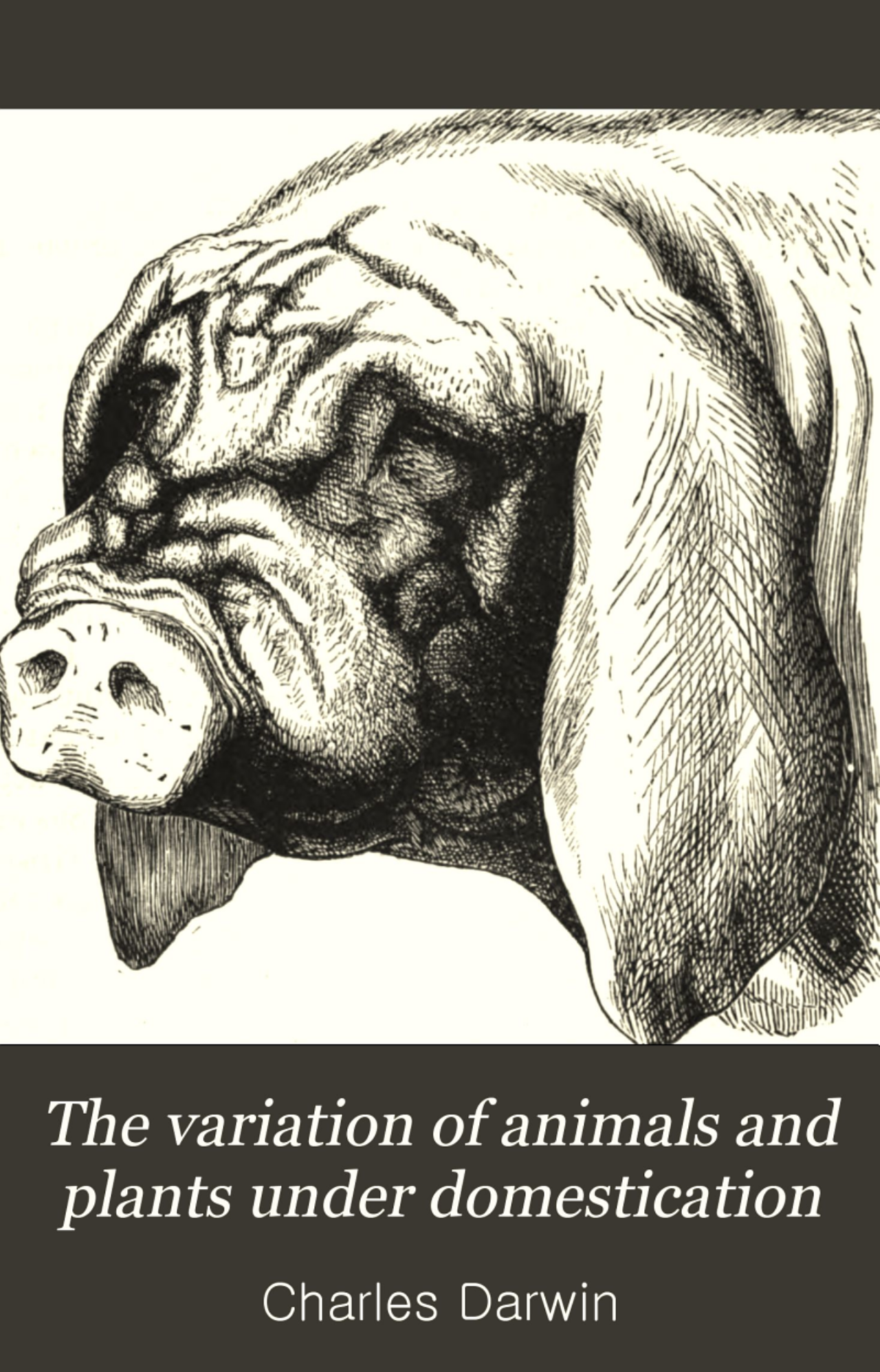 جلد کتاب The Variation of Animals and Plants under Domestication