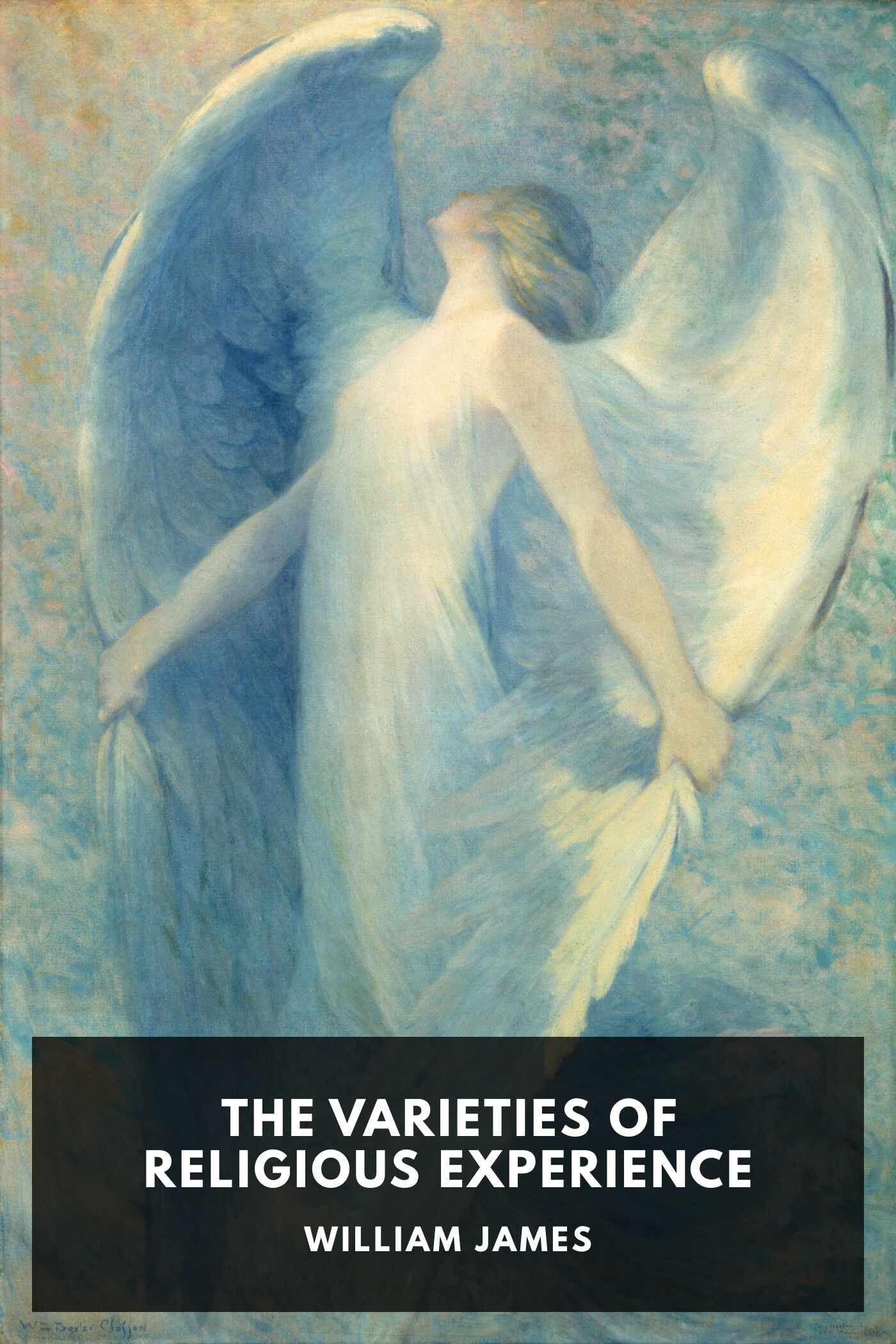 جلد کتاب The Varieties of Religious Experience