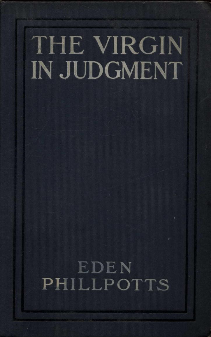 جلد کتاب The Virgin in Judgment