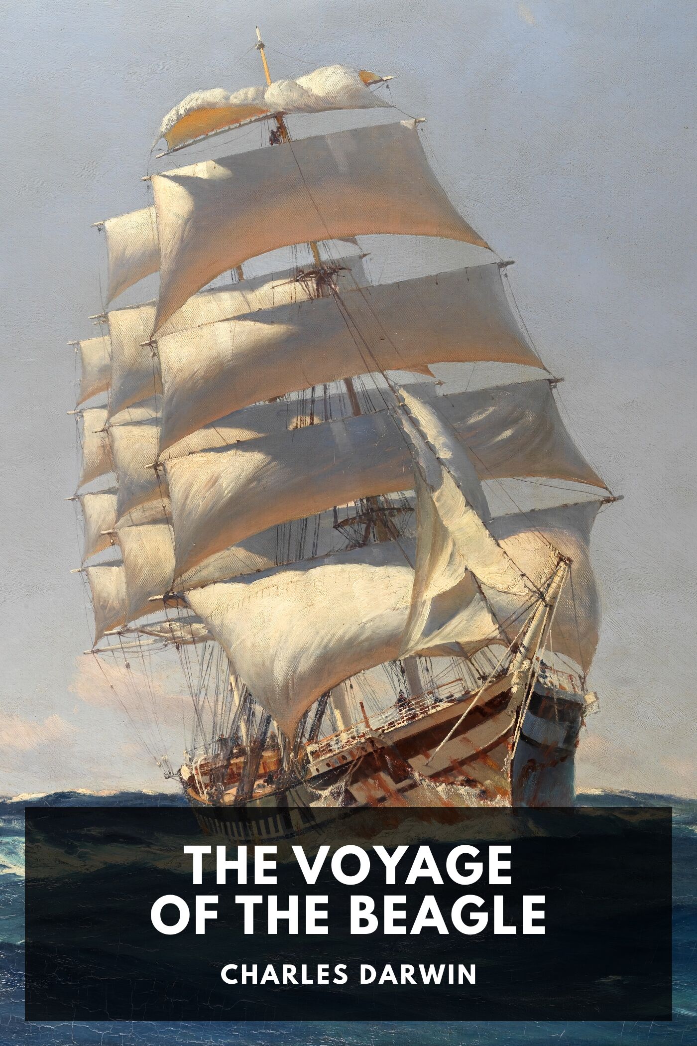 جلد کتاب The Voyage of the Beagle