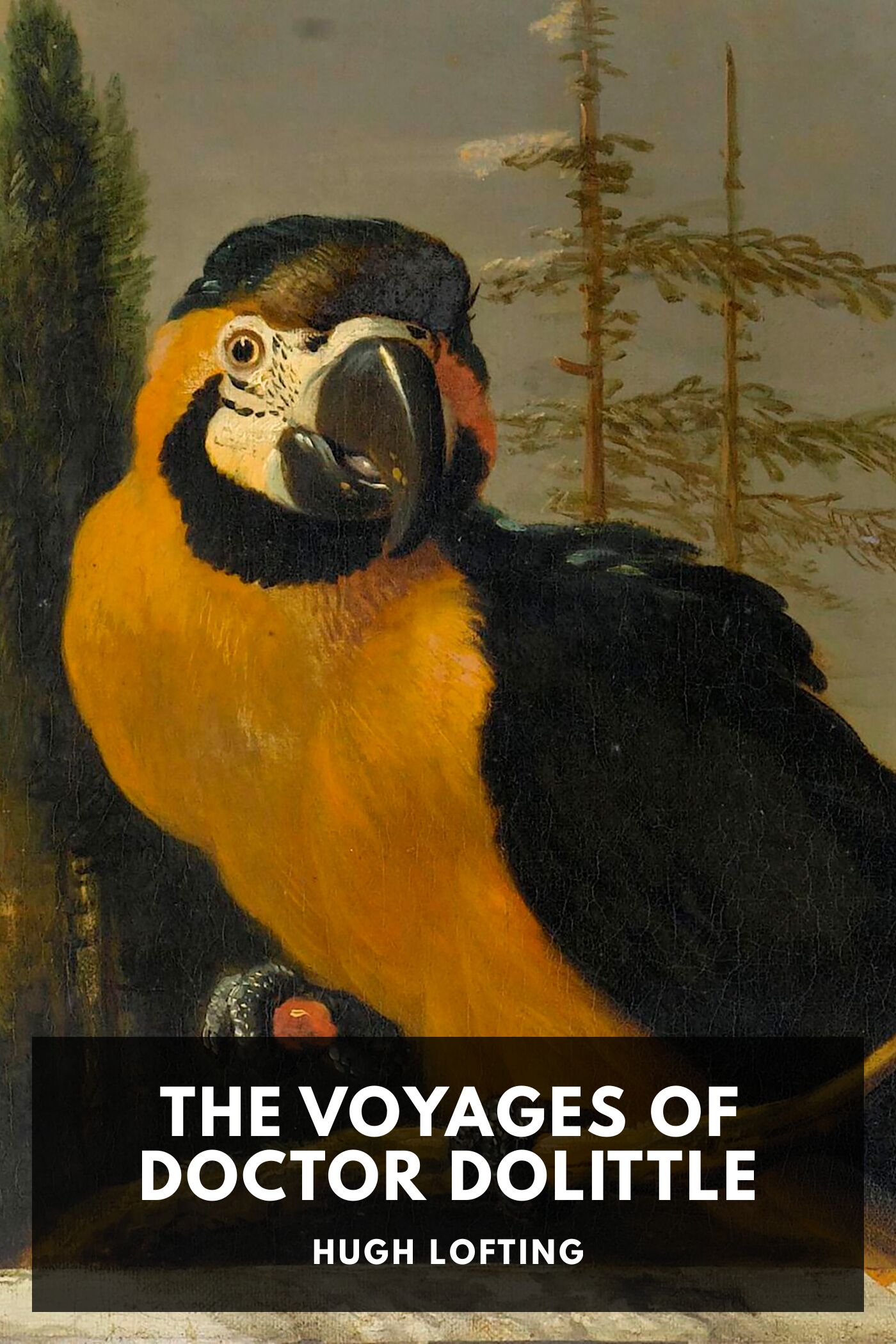 جلد کتاب The Voyages of Doctor Dolittle