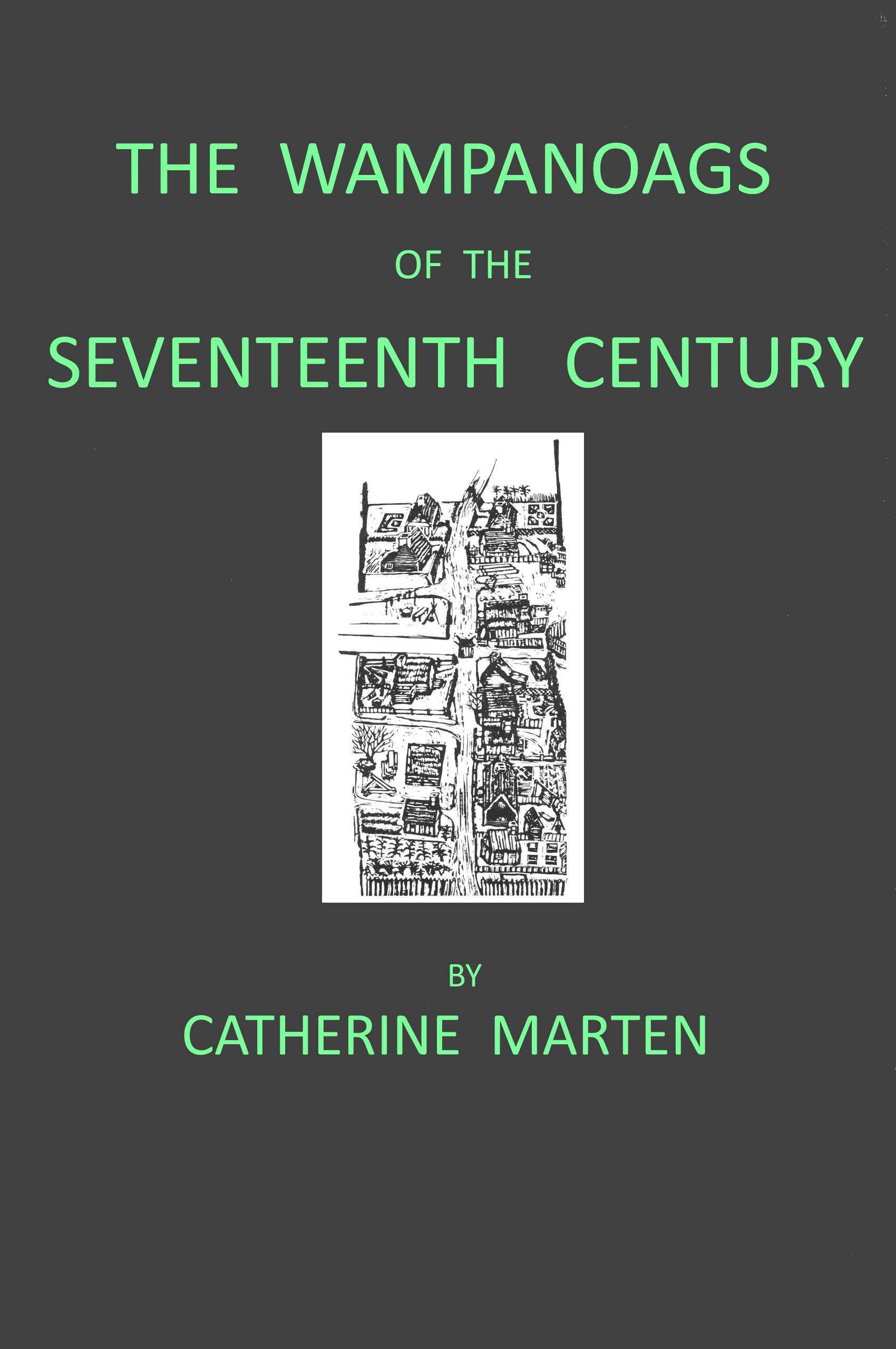 جلد کتاب The Wampanoags in the Seventeenth Century