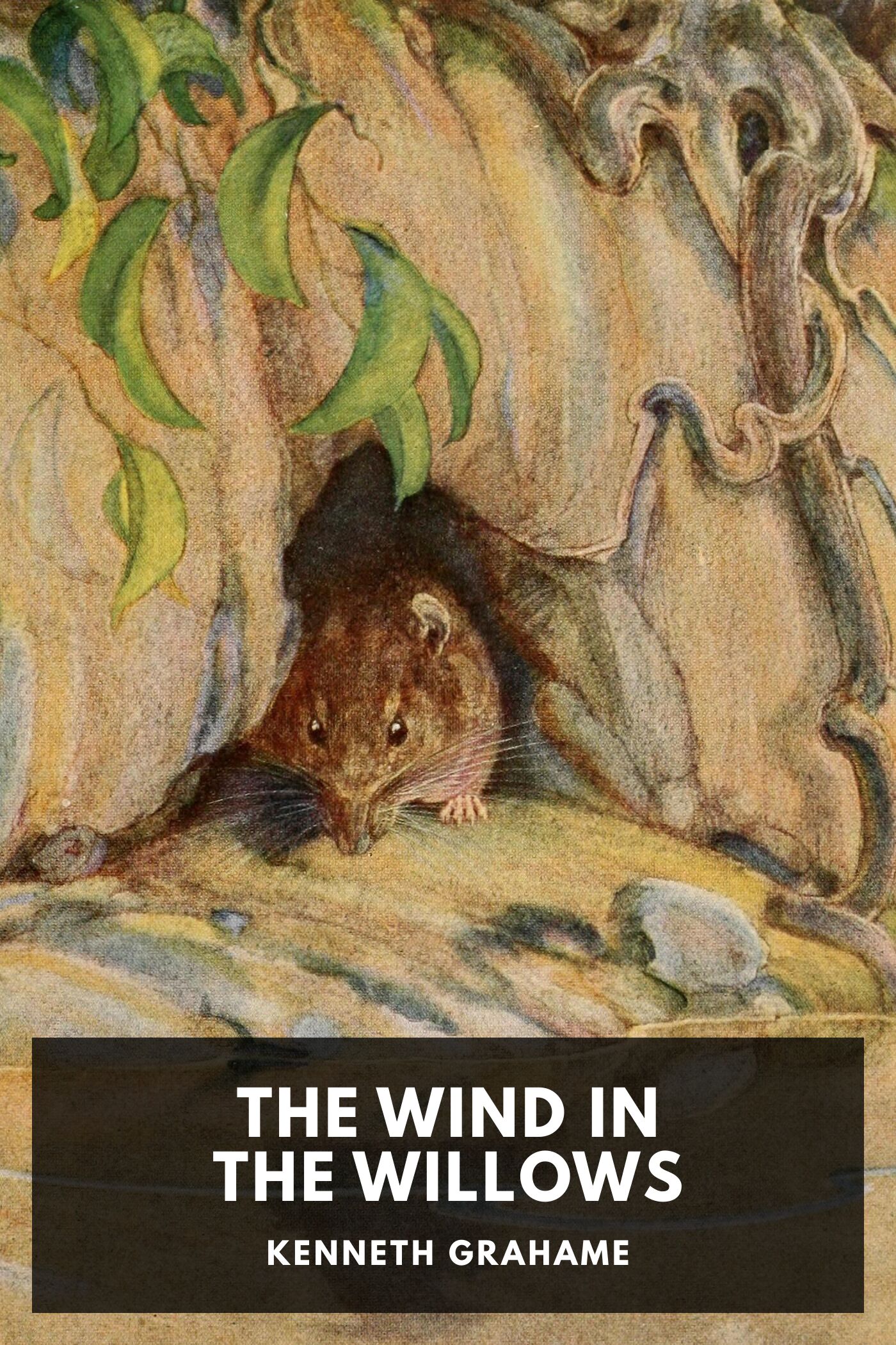 جلد کتاب The Wind in the Willows